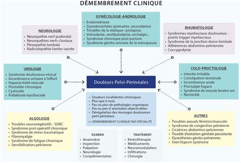 Formation Douleurs pelvi périnéales Thérapie Manuelle Nouvelle