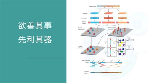 如何读懂和利用你的微生物多样性测序结果？ 知乎