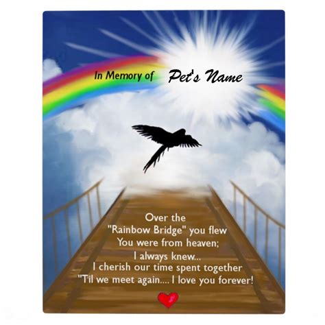pin  birds