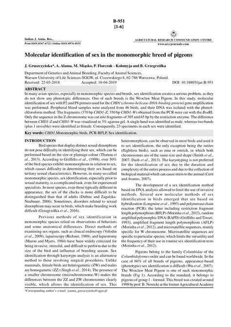PDF Molecular Identification Of Sex In The Monomorphic Breed Of Pigeons