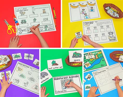 rainforest animal habitat centers  activities