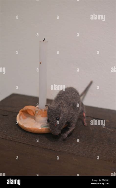 A rat or mouse on a tabletop with a candle Stock Photo - Alamy