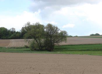 Bauernstimme Kleine Ackerflächen fördern Biodiversität