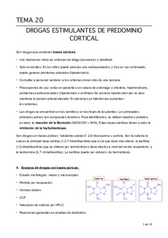 TEMA 20 Pdf