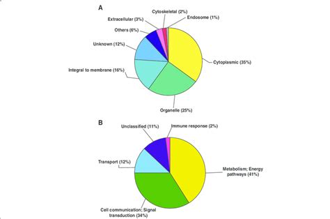 Subcellular Localization And Biological Process Of Differentially