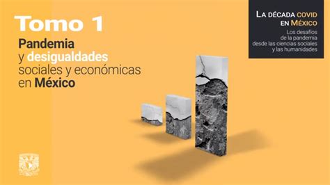 La Pandemia Y Las Desigualdades Sociales Y Económicas En México