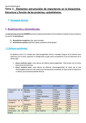 Tema Elementos Estructurales De Imp En Bioqui Sin Modificar Pdf