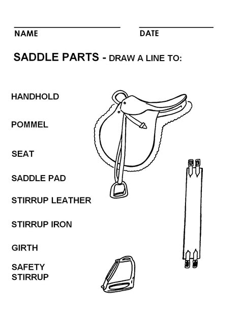 English Saddle Parts Worksheet Can You Put English Stirrups