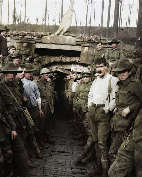 Australian Soldiers Posing For A Photograph At The Entrance Of Tunnel