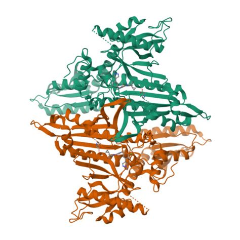 Rcsb Pdb Fam Co Crystal Structure Of Toxoplasma Gondii Prolyl Trna