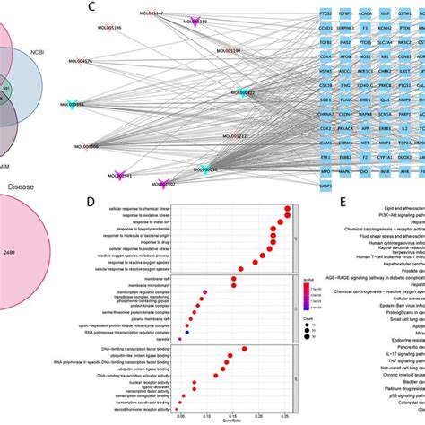 Integrative Network Pharmacology Analysis Of Bstjf A Genes Related