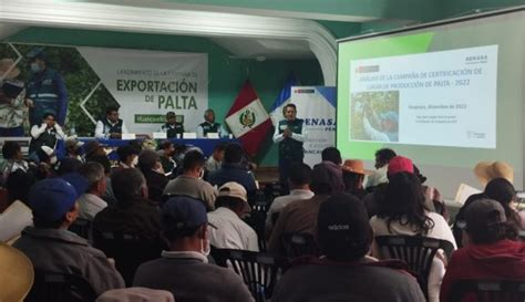 Huancavelica SENASA Y Productores De Palta Oficializan Inicio De