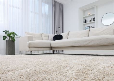 carpet ideas inspiration transform  home bestflooring