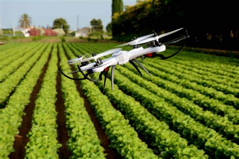 Drones 5 aplicações na agricultura