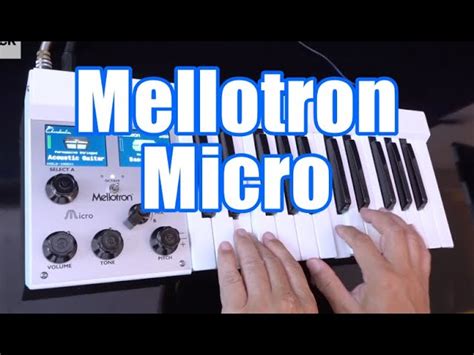 Mellotron Micro Digital Synthesizer 本日終了P2倍50 OFF blog knak jp