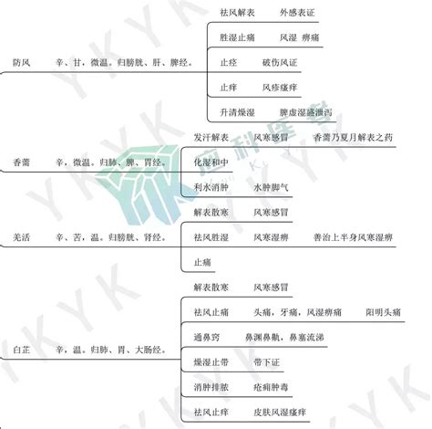 中药思维导图 一张图搞定 “发散风寒药” 知乎