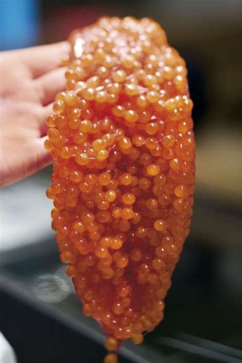 How To Prepare Salmon Roe Salmon Roe Salmon Roe