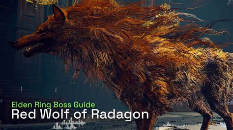 How To Defeat Red Wolf Of Radagon Elden Ring Boss Gameplay Guide