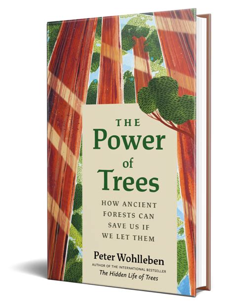 The Power Of Trees Peter Wohlleben