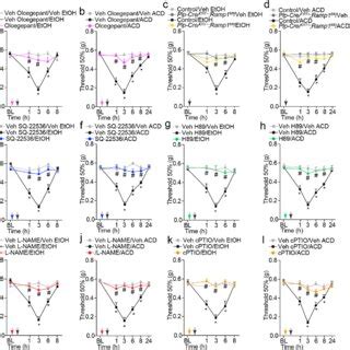 Schwann Cell TRPA1 Receptor Activation Mediates Periorbital Mechanical