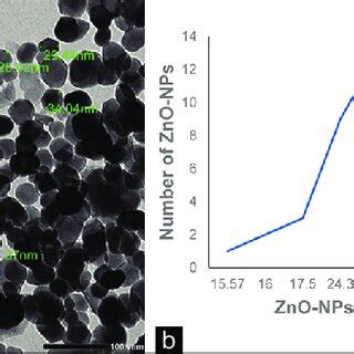 A An Electron Micrograph Showing The Shape And Size Of Zno Nps By Tem