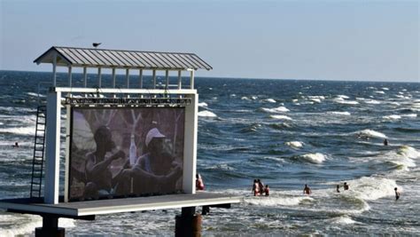 21 Top Ocean Films to Dive Into This Weekend - Scuba.com