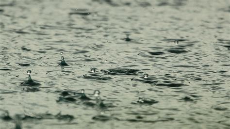 Imd Predicts Above Normal Rainfall In India In September Month Here Are