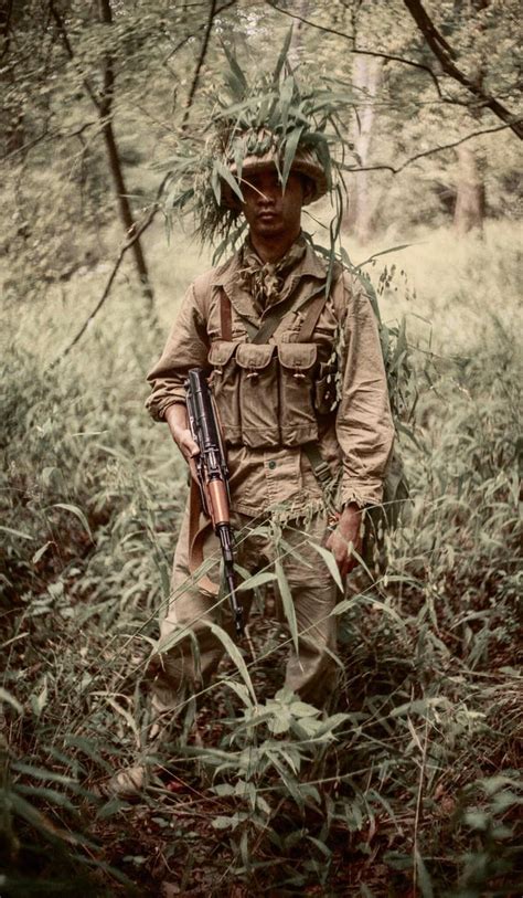 North Vietnamese Army Pavn Rimpressionkits