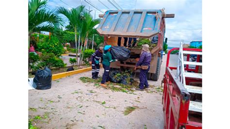 Mantenimiento De Áreas Verdes En La Ciudad De Tarapoto Noticias Municipalidad Provincial De