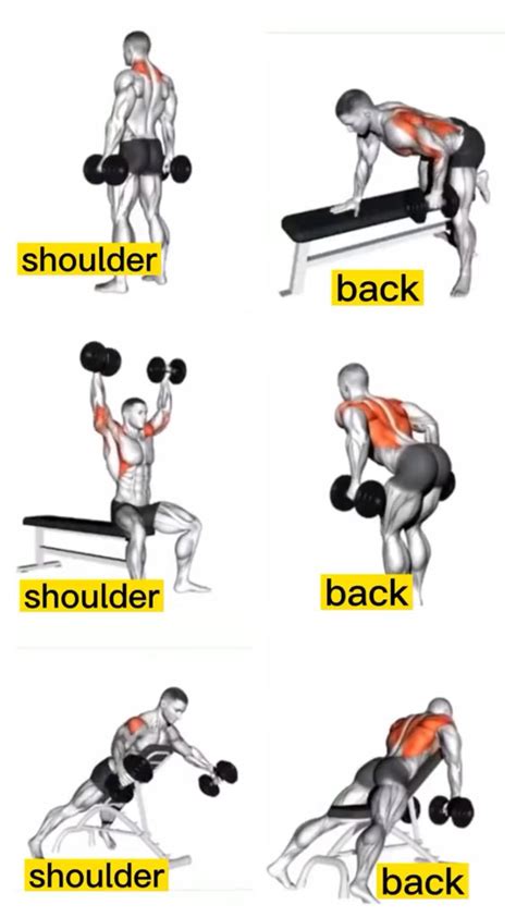 Best Exercises For Thicker D Shoulders Artofit