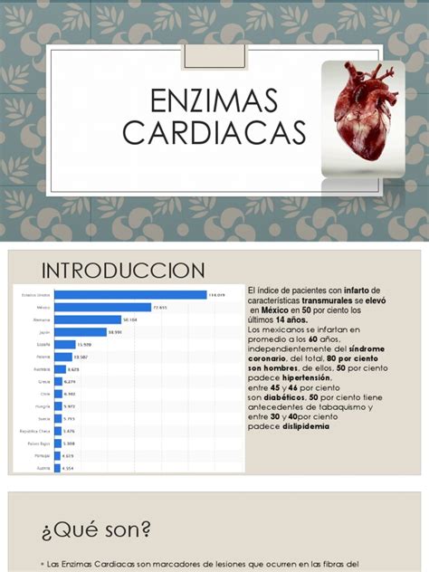 Enzimas Cardiacas Pdf Corazón Músculo