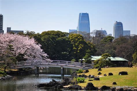 Hamarikyu Gardens – Shibuya246