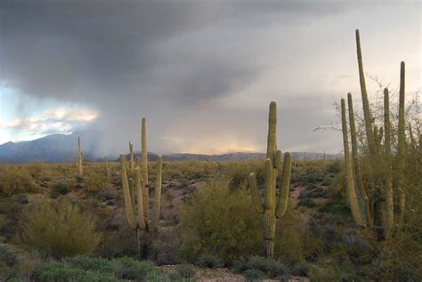 Desert rain... | Natural landmarks, Favorite places, Arizona