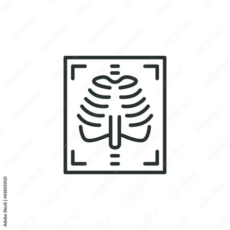 X Ray Line Icon Simple Outline Style Radiology Chest Scan Medical