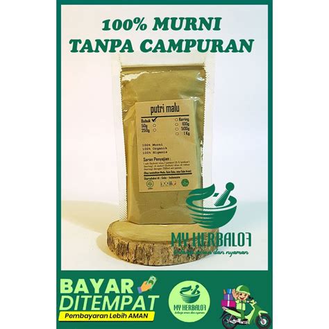 Jual Putri Puteri Malu Mimosa Pudica Muurni Jsr Rempah Shopee