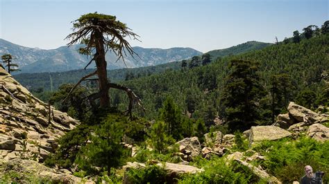 Vacances En Corse Le Sentier De Radule Cascade Et V Flickr