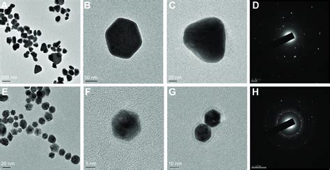 Fe TeM Analysis Of D AgNPs And D AuNPs Notes TeM Image Of D AgNPs In