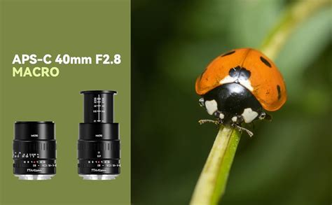 TTArtisan 40mm F2 8 APS C Macro Lens For Insects Jewelry Portrait Still