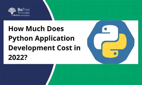 How Much Does Python Application Development Cost in 2022? | by ...