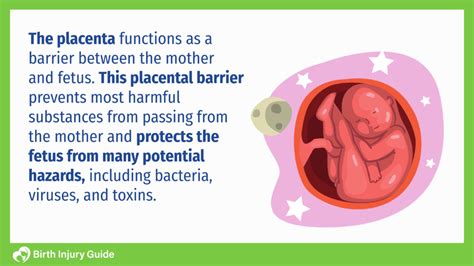 Exposure To Chemicals During Pregnancy Birth Injury Guide