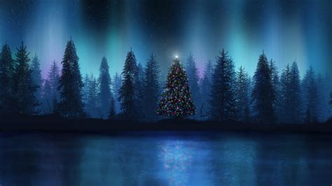 Christmas Tree And Lake During Night Winter HD Nature Wallpapers | HD Wallpapers | ID #57287