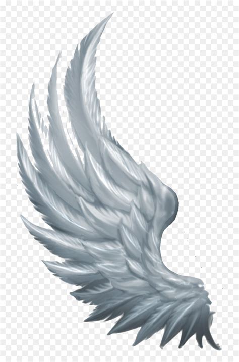 Wings Angel Angel Wings From The Side Hd Png Download Vhv