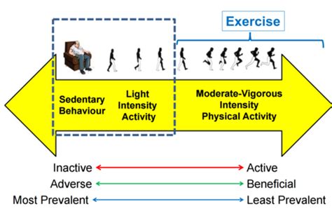 Sedentary Behaviour Flashcards Quizlet