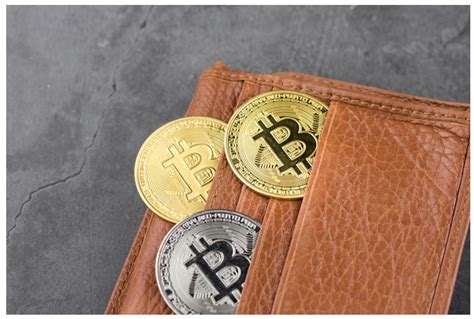 Crypto Wallets — Why Are They Important For Your Coins’ Safety - APN News