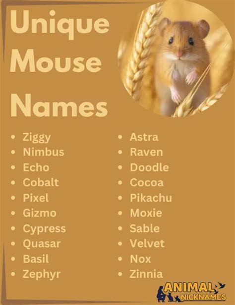 Top Cute Funny Mouse Names Best Ideas