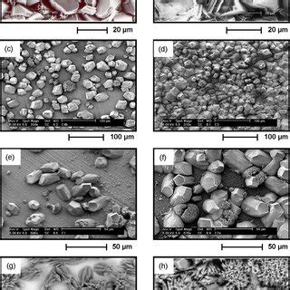 Microscopy observation of scale formed under different Mg 2+... | Download Scientific Diagram