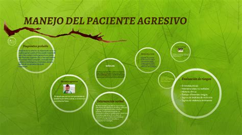 Manejo Del Paciente Agresivo By Linda Nina On Prezi