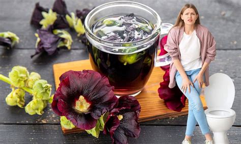 Chá Relaxante Para Dormir Profundamente E Acordar Bem