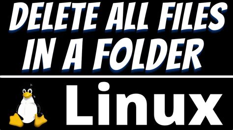 Linux Command To Delete All Files In A Folder Or Directory Using Ways