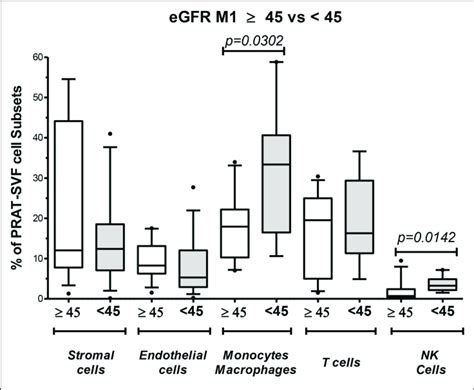 Analysis Of Perirenal Adipose Tissue Stromal Vascular Fraction